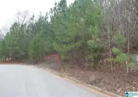 0 HICKORY VALLEY ROAD, TRUSSVILLE, St Clair, Alabama, 35173, 874782, ,Lots,For Sale,HICKORY VALLEY ROAD,874782