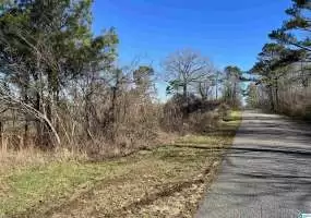 0 WATER TANK HILL, PELL CITY, St Clair, Alabama, 1312674, ,Acreage,For Sale,WATER TANK HILL,1312674