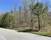 244 NORMANDY LANE, CHELSEA, Shelby, Alabama, 35043, 1316166, ,Lots,For Sale,NORMANDY LANE,1316166