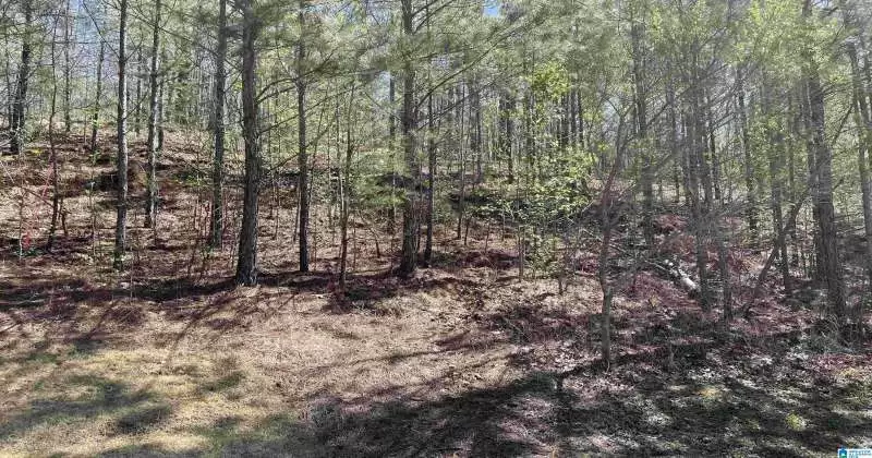 244 NORMANDY LANE, CHELSEA, Shelby, Alabama, 35043, 1316166, ,Lots,For Sale,NORMANDY LANE,1316166