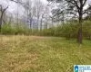 WOLF CREEK ROAD, PELL CITY, St Clair, Alabama, 35125, 1330641, ,Acreage,For Sale,WOLF CREEK ROAD,1330641