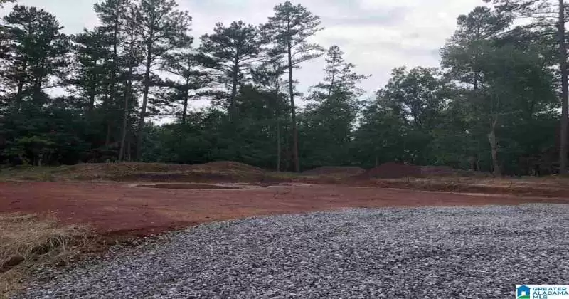 2143 LAKEVIEW TRACE, TRUSSVILLE, St Clair, Alabama, 35173, 1340737, ,Lots,For Sale,LAKEVIEW TRACE,1340737